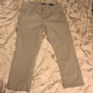 Supplies MILA Modern Crop